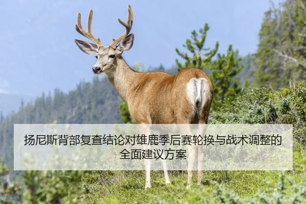 扬尼斯背部复查结论对雄鹿季后赛轮换与战术调整的全面建议方案